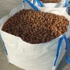 Sacas a granel de nueces en cáscara de 350 kg calibrada. Consultar condiciones según variedad y calibre. Nueces ecológicas españolas
